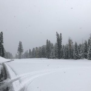 Meet your Posher, Connor